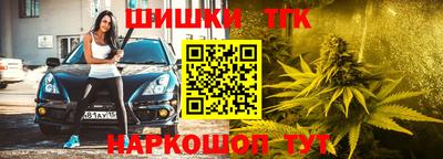 стафф Кингисепп