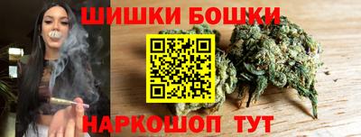 стафф Кингисепп