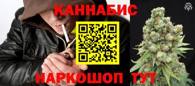 стафф Кингисепп