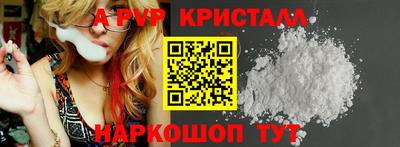 стафф Кингисепп