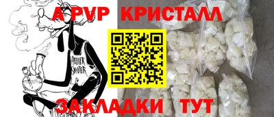 стафф Кингисепп