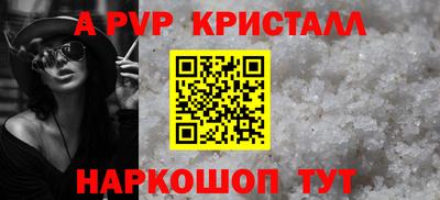 стафф Кингисепп