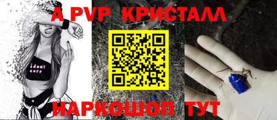 стафф Кингисепп