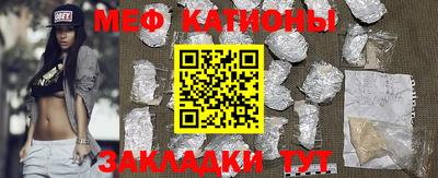 стафф Кингисепп