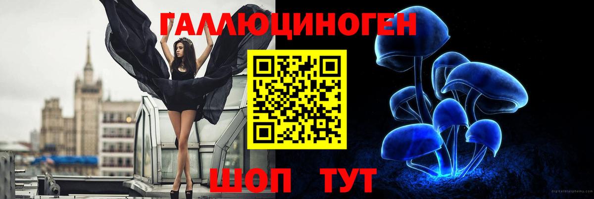 Псилоцибиновые грибы MAGIC MUSHROOMS  Вход с VPN  как найти закладки  Корсаков  Псилоцибиновые грибы Magic Shrooms 